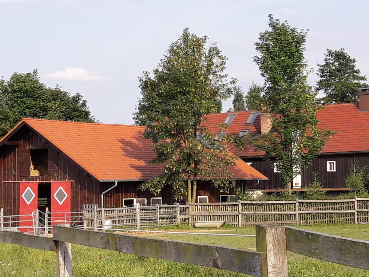 Apartmán Im Dreilaendereck - Dom Przy Trzech Granicach Leśna Exteriér fotografie